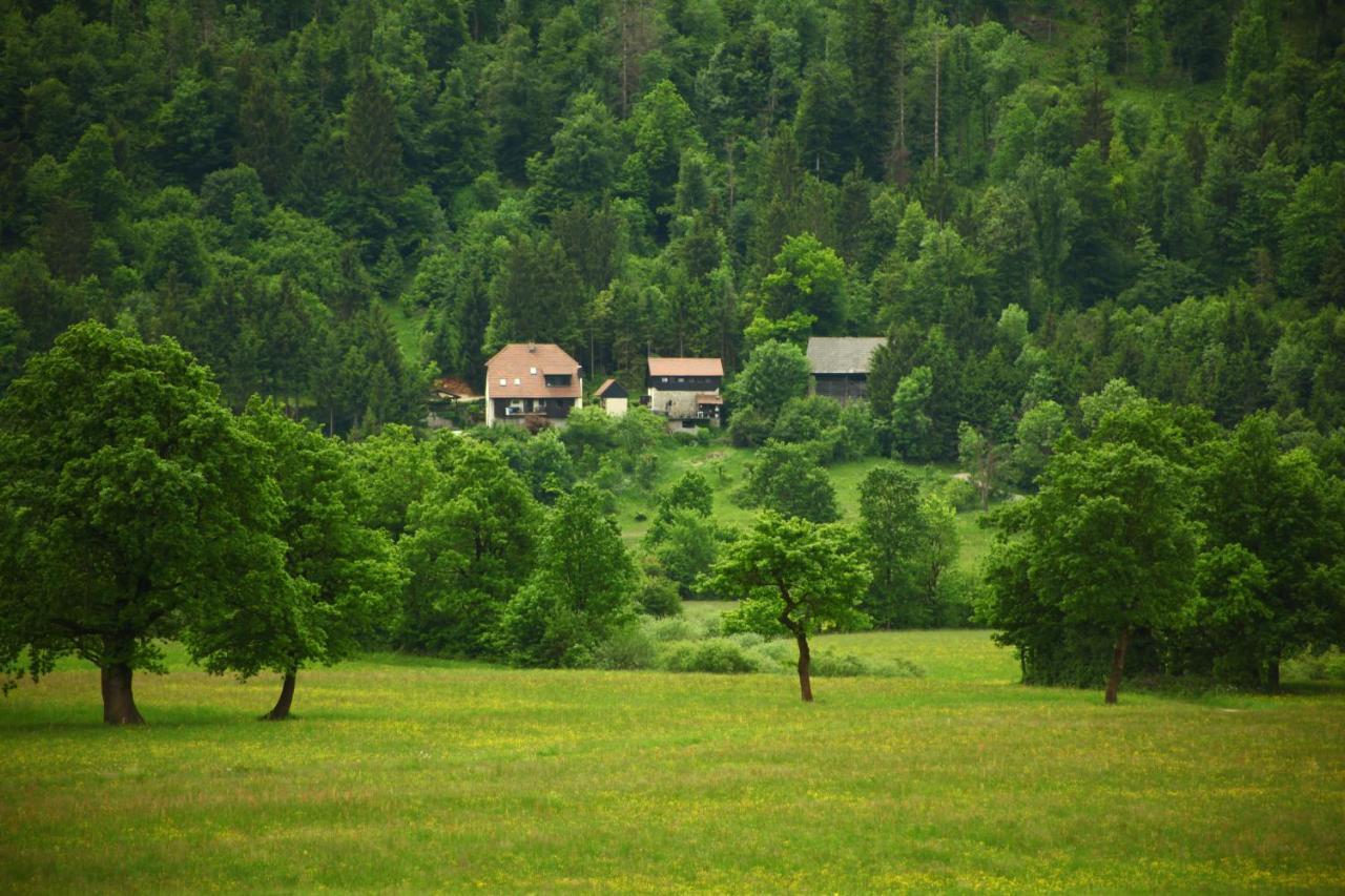 Apartment Sefic Planina  Esterno foto
