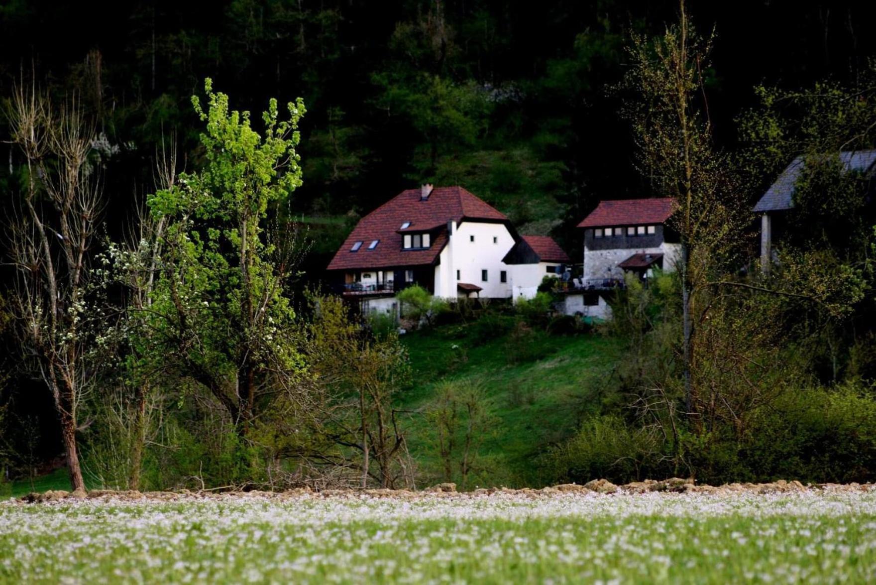 Apartment Sefic Planina  Esterno foto