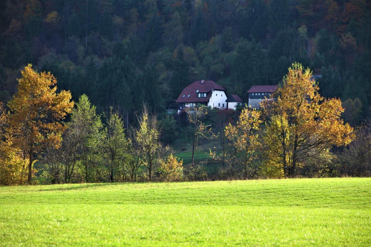 Apartment Sefic Planina  Esterno foto